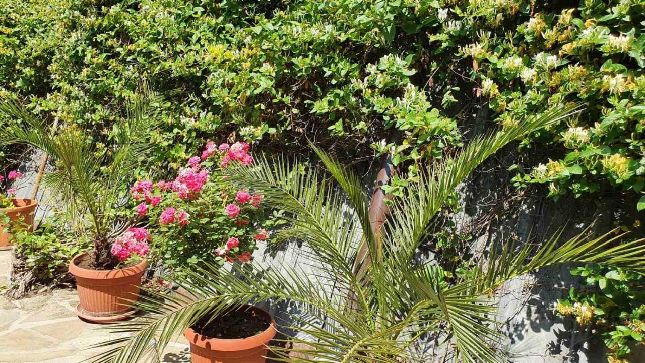 Marianas Guesthouse Obzor Luaran gambar